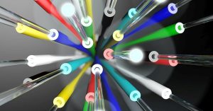 Avalon Beach NBN Fibre Upgrade