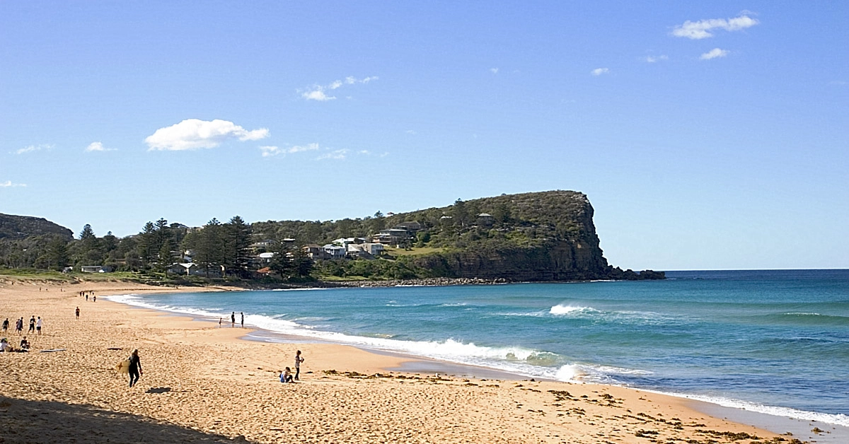 Toddler Nipped by Offleash Dog at Avalon Beach as Council Dog Attack Reports Hit Record High