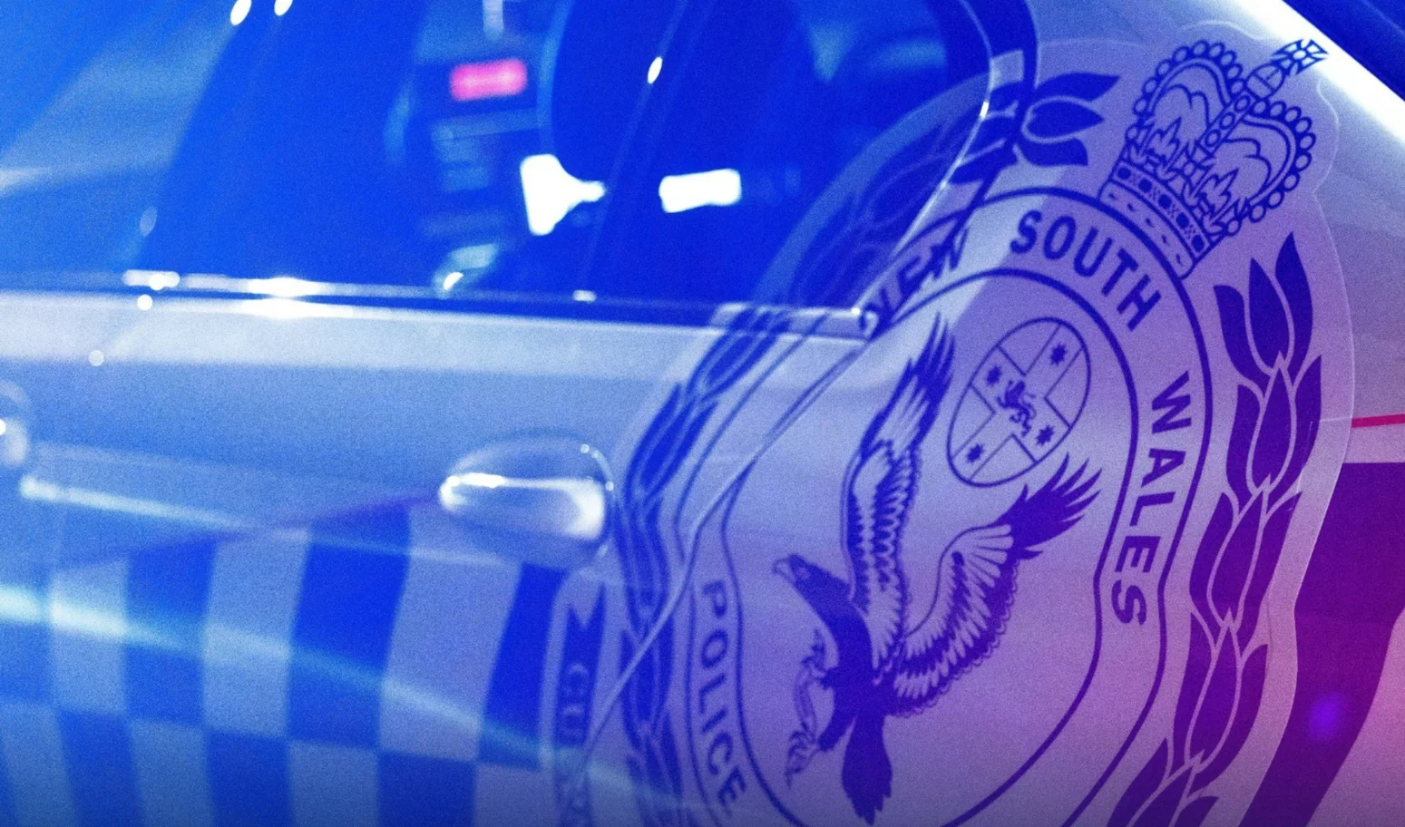Avalon police operation

